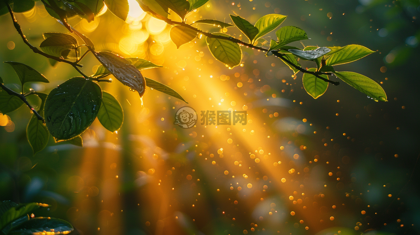 晨光洒满枝头，美妙自然收获百万点赞。