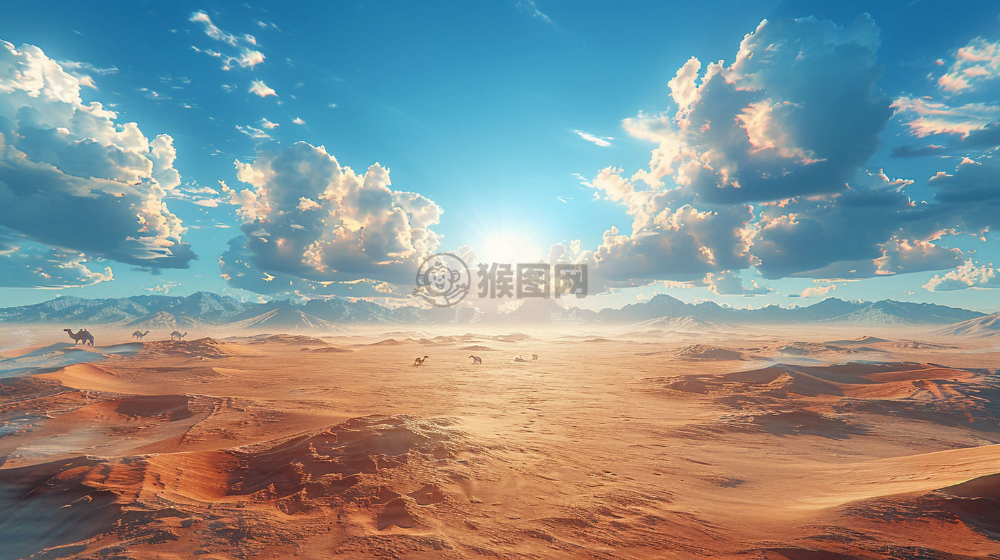 荒漠之晨 烈日下骆驼漫步