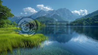 高原湖泊映高山，草原绿意满画卷