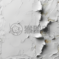 白色固体渐变背景下的深思