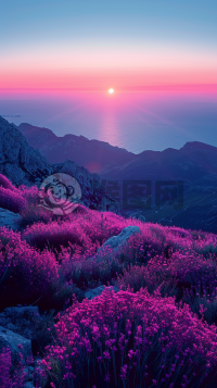 简约紫粉渐变背景下的自由形状艺术