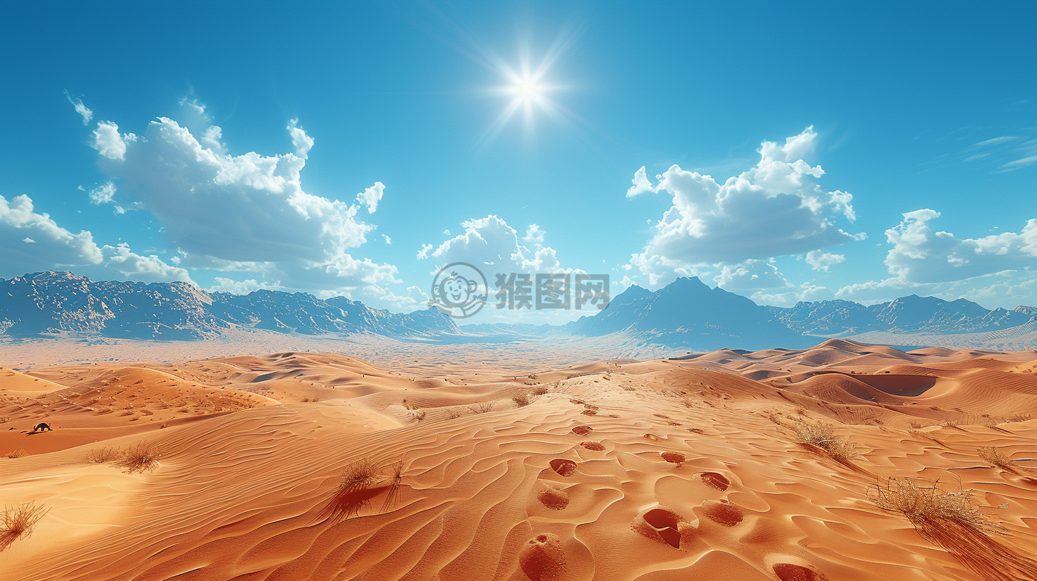 沙漠中的骆驼与烈日下的热浪壁纸