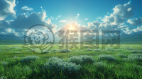壮丽草原朝阳映画，细致品质美不胜收。