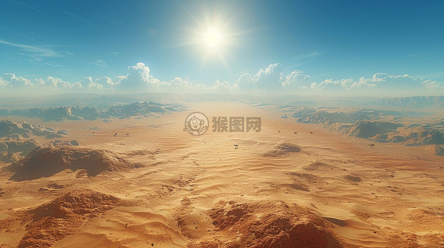 沙漠中的骆驼与烈日下的热浪壁纸