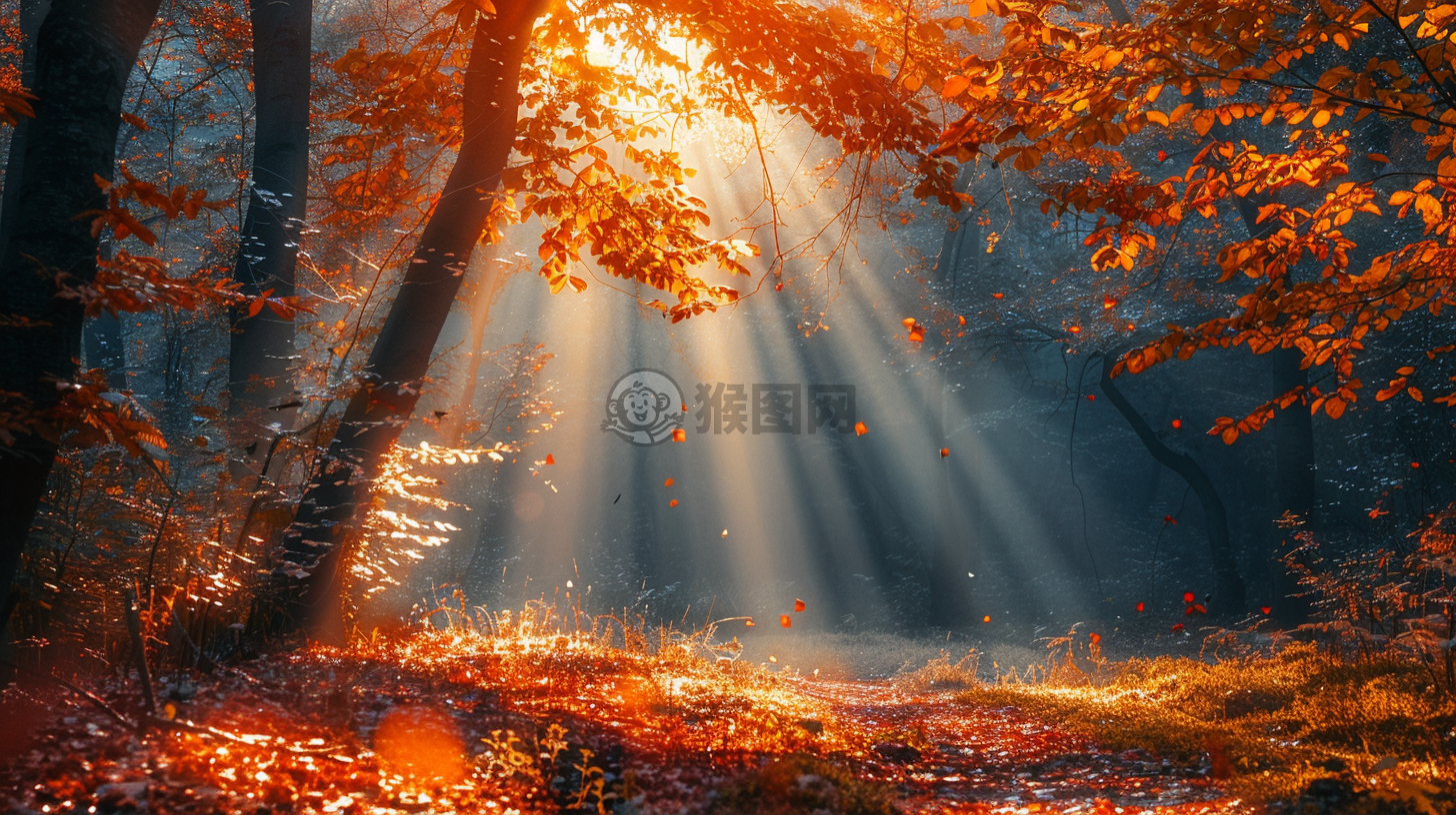 晨曦映照枝头，自然之美惊艳亿万视界