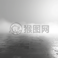 白色固态渐变背景下的静谧空间
