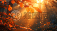 晨曦洒满树枝，美丽自然引无数瞩目