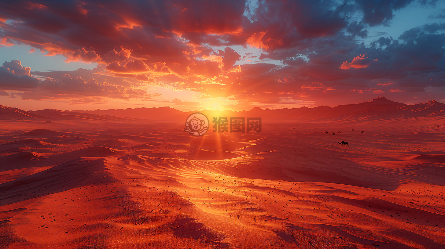 沙漠之夏，烈日灼心。