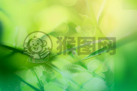 清新绿渐变背景，带有光影效果，左上角有三角形的粽子，整体风格简洁明了。