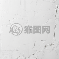 白色朴素背景风格下的原始风格简约之美，朴素之韵