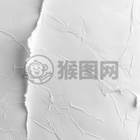 白色朴素背景风格下的原始风格简约之美，纯净之韵