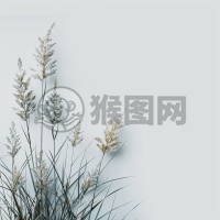 白底原味风格简洁纯粹，朴实无华