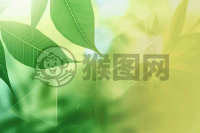 清新绿渐变背景，光影与抽象线条交织，端午粽子呈平面装饰，柔和照明与模糊前景营造欢快氛围，背景几何图案营造整体宁静感。