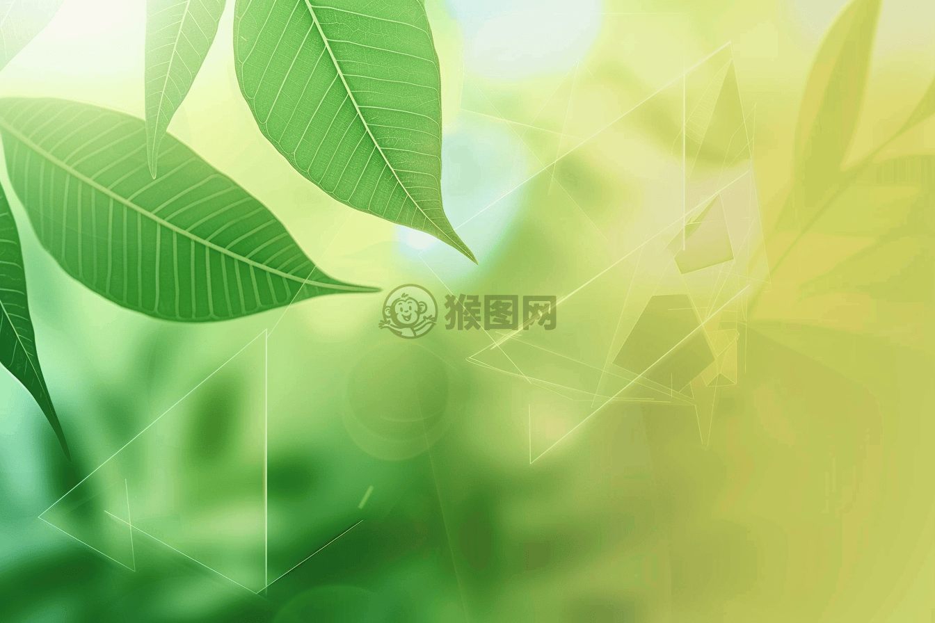 清新绿渐变背景，光影与抽象线条交织，端午粽子呈平面装饰，柔和照明与模糊前景营造欢快氛围，背景几何图案营造整体宁静感。