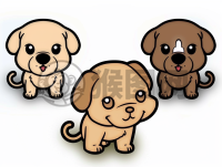 可爱狗狗，萌萌的柯基