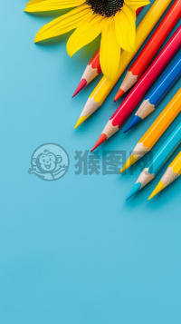 阳光向日葵的黄低角度摄影