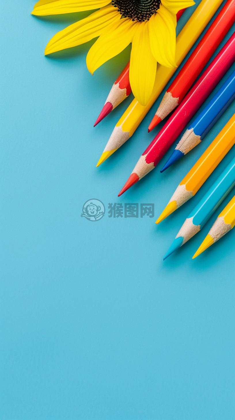 阳光向日葵的黄低角度摄影