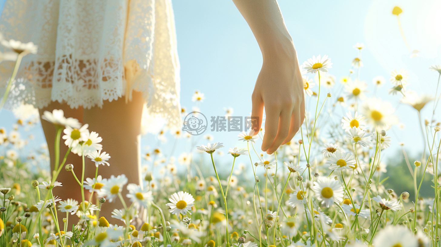 阳光花海中，轻抚百合手。