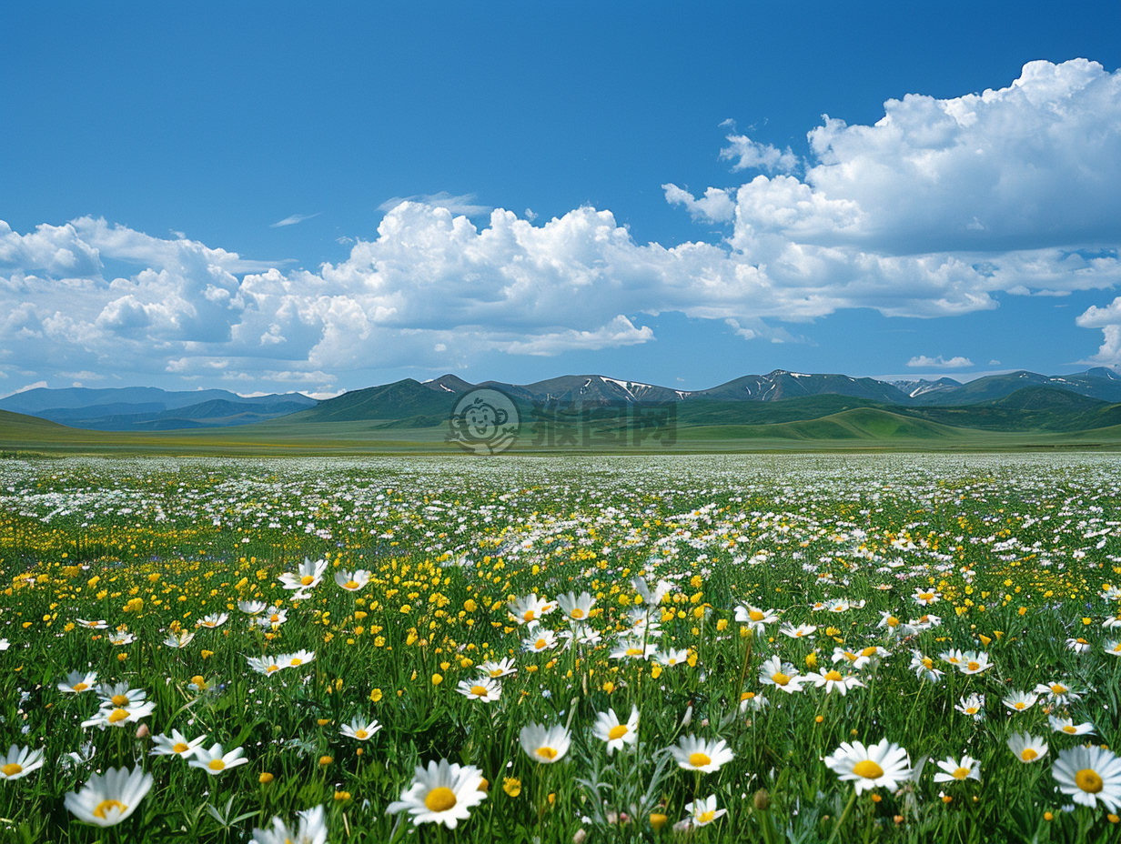 夏日田园美照，山谷鲜花绽放。