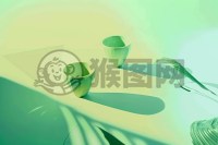 清爽绿色的渐变背景配以明亮的色彩和朦胧的前景，营造出欢快的氛围。