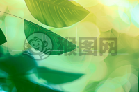 清新绿色渐变背景，左上角三角粽子和抽象线条插图。