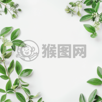 白色背景下的简洁宣言