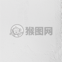 白色纯色背景上的简洁文字