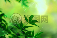 清爽绿色的渐变背景配以明亮的色彩和朦胧的前景，带有平面的线条抽象画与扁平的构图。整体呈现出一种宁静的氛围，细节之处也有整洁的几何图案，呈现出清新怡人的气氛。