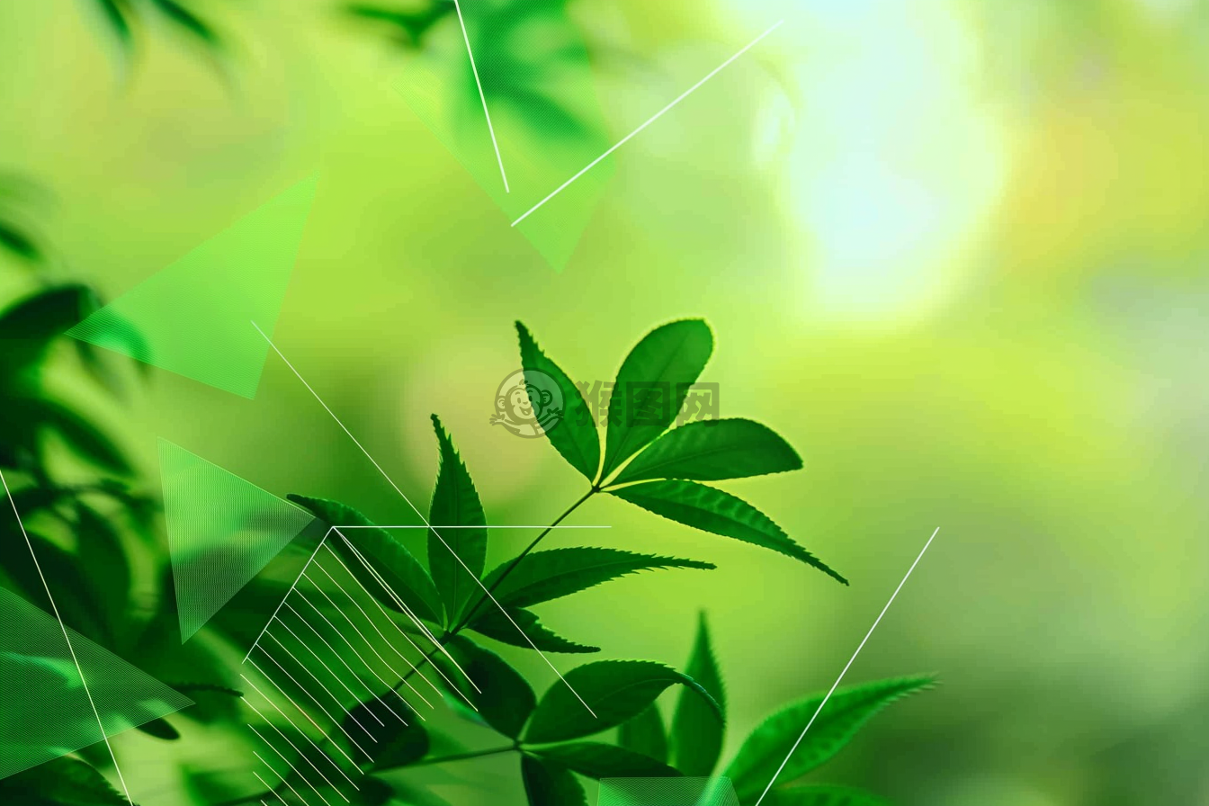 清爽绿色的渐变背景配以明亮的色彩和朦胧的前景，带有平面的线条抽象画与扁平的构图。整体呈现出一种宁静的氛围，细节之处也有整洁的几何图案，呈现出清新怡人的气氛。