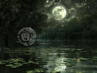 秋分月夜湖上月