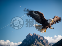 鹰击长空，锐利如画。