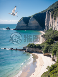 碧海峭壁，海鸥翱翔