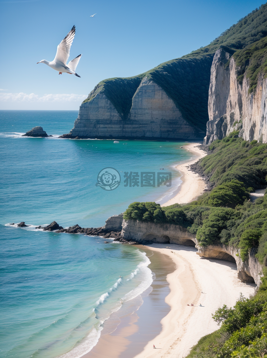 碧海峭壁，海鸥翱翔