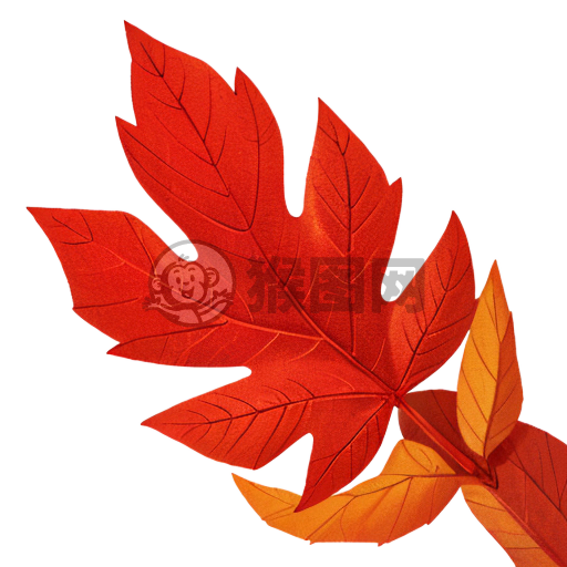 加拿大枫叶图腾标识设计。
