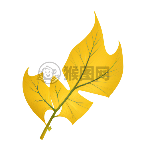 清新银杏叶：秋意浓