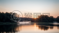 清晨湖畔优雅天鹅翩翩起舞