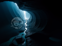 深海峡谷神秘生物 生物发光奇幻照