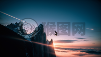 鹰翱翔于苍穹之上