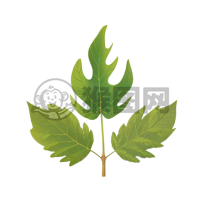 清新白底绿叶简图标题。