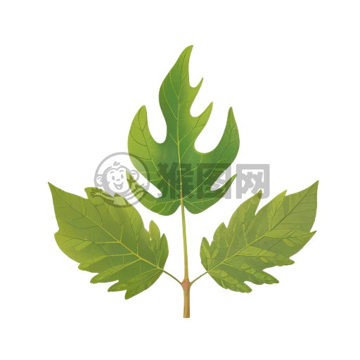 清新白底绿叶简图标题。