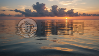 海面晨曦：宁静与活力的交织