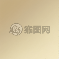柔和渐变背景下的细腻纹理与柔和光晕