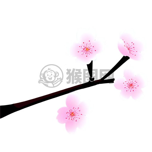 粉色樱花盛开，高对比度美图