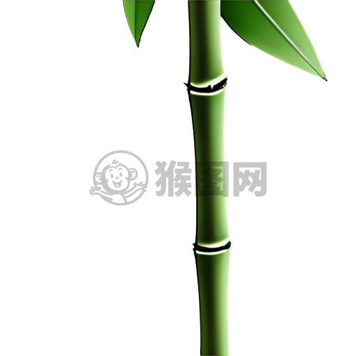 竹叶白底插图，简约设计，高对比度