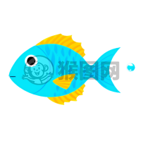 白底彩色鱼游：简约设计的高清插图