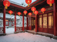 雪夜寒梅照夜阑