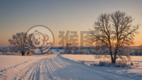 迷人的冬季雪景美照